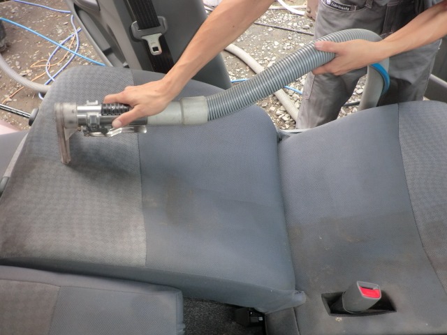 cat04-02.jpg